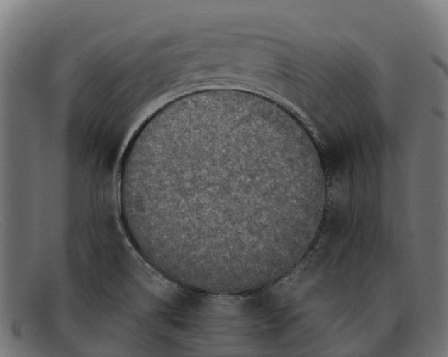 X0000091651514200709131440