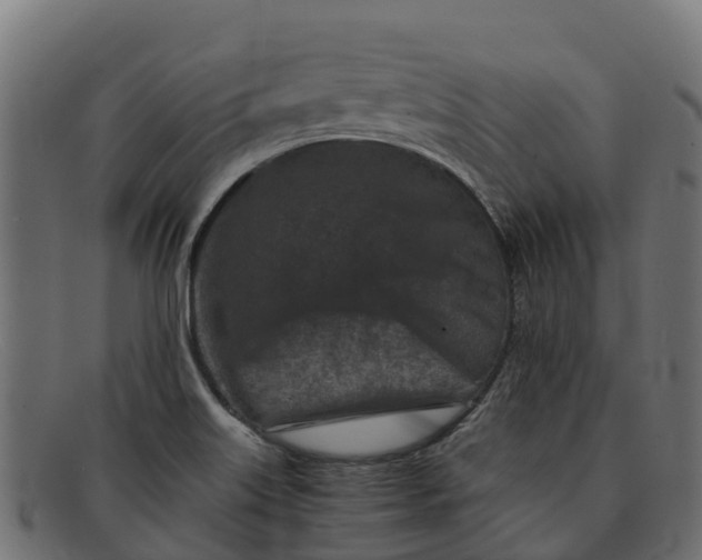 X0000091651515200709131440