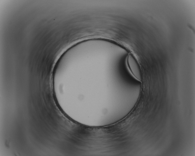 X0000091651516200709131440