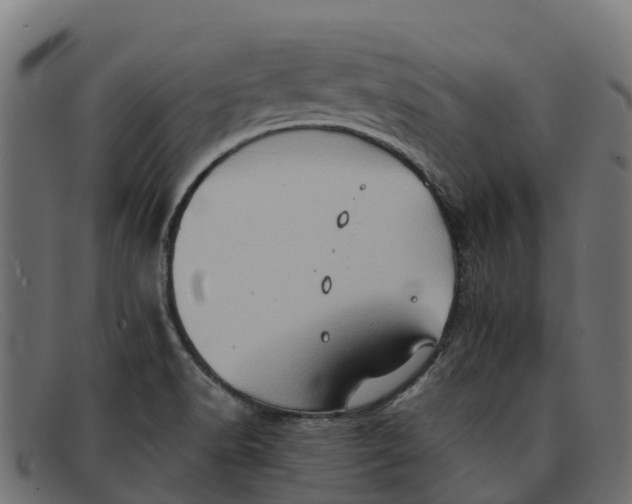 X0000091651518200709131440