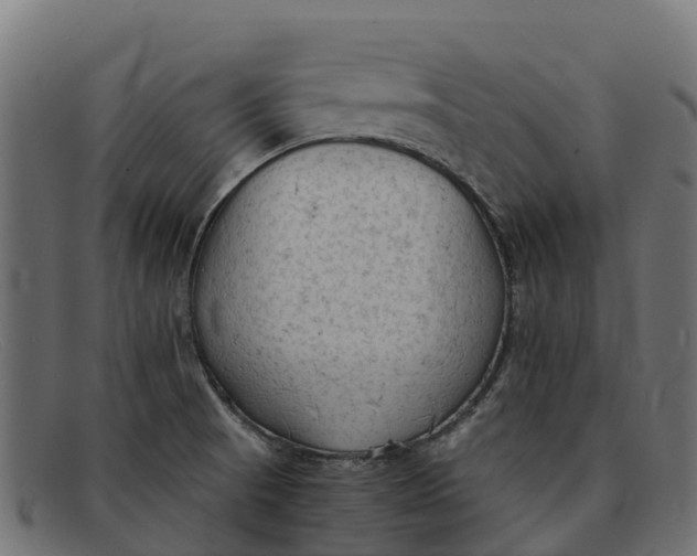 X0000091651521200709131440