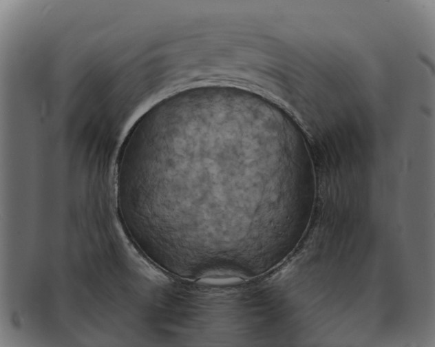 X0000091651522200709131440