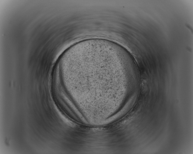 X0000091651523200709131440