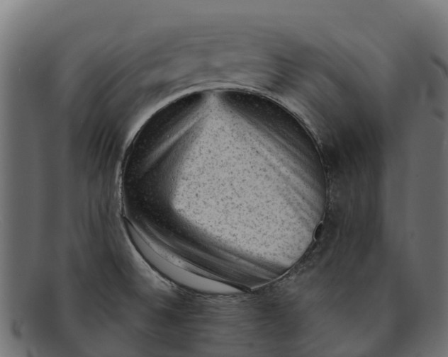 X0000091651524200709131440