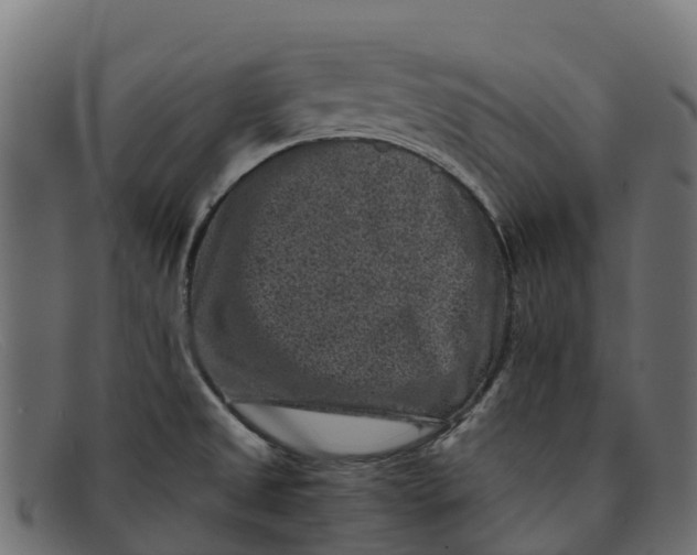 X0000091651525200709131440