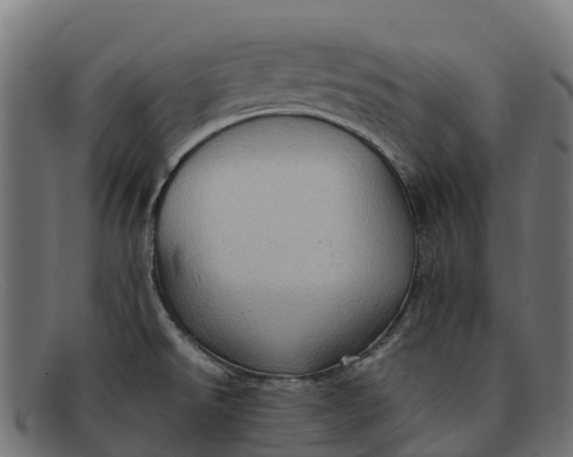 X0000091651526200709131440