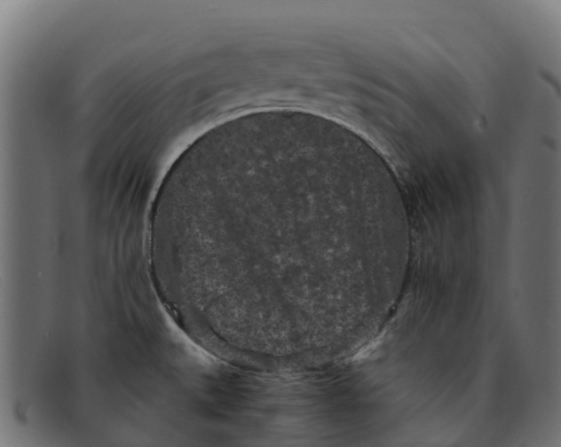 X0000091651527200709131440