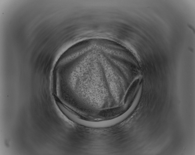 X0000091651528200709131440