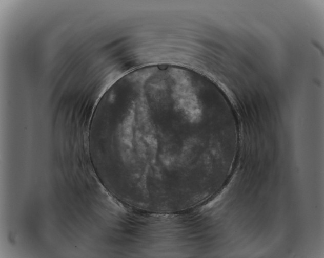 X0000091651529200709131440