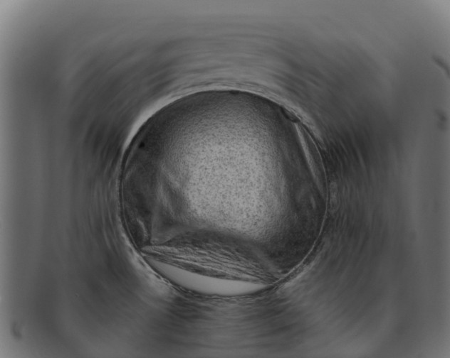 X0000091651530200709131440