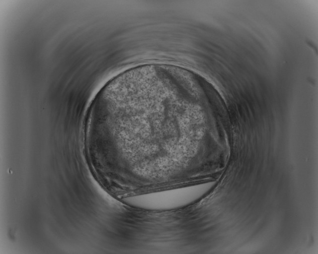 X0000091651531200709131440