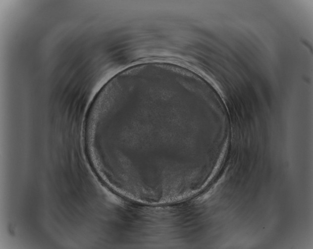 X0000091651533200709131440