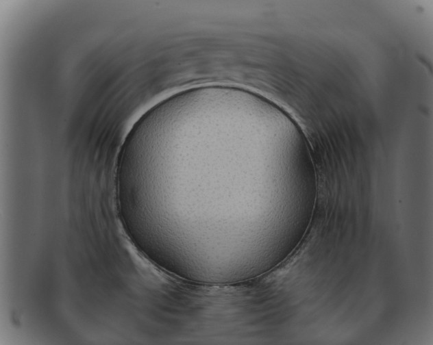 X0000091651534200709131440