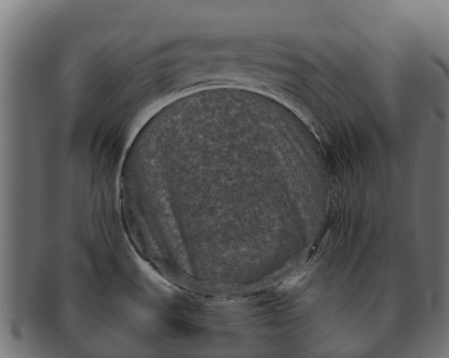 X0000091651535200709131440