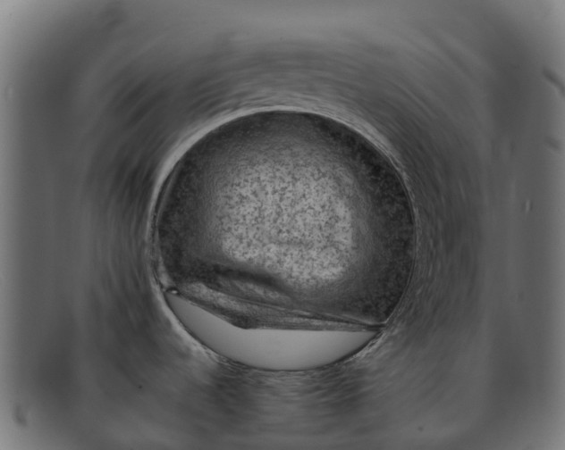 X0000091651536200709131440