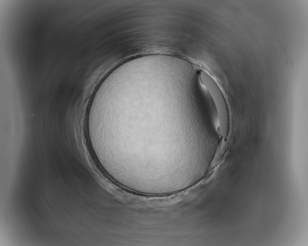 X0000091650001200709201134