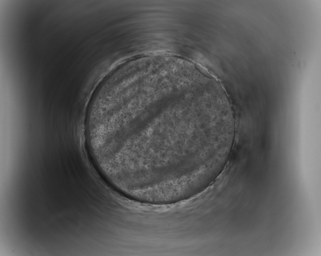 X0000091650002200709201134