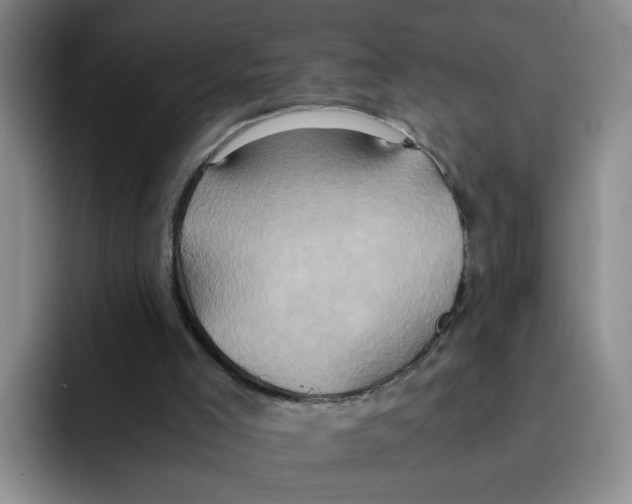 X0000091650005200709201134