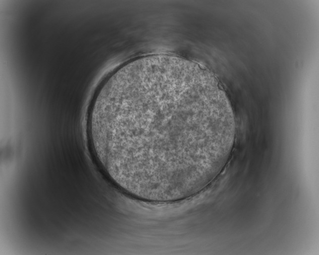 X0000091650006200709201134