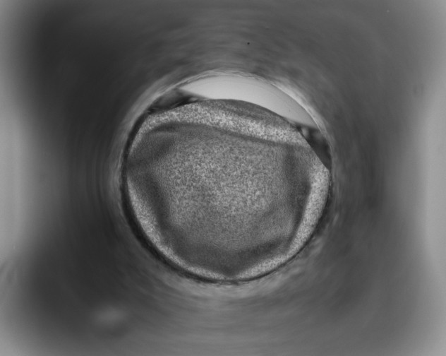 X0000091650007200709201134