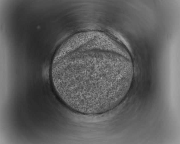 X0000091650010200709201134