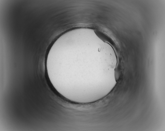 X0000091650011200709201134