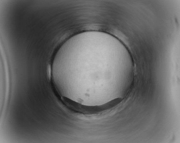 X0000091650013200709201134