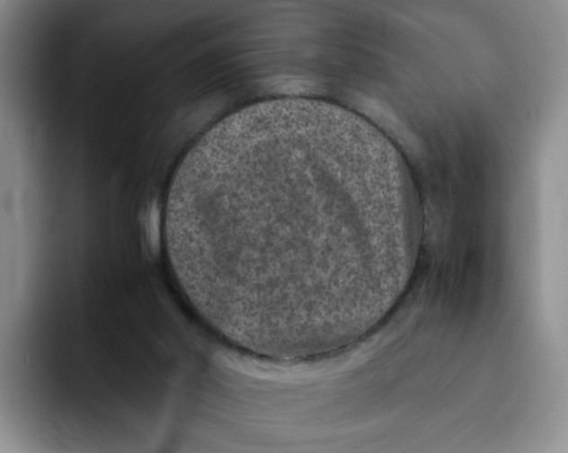 X0000091650014200709201134