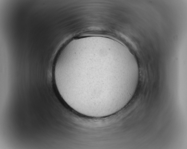 X0000091650015200709201134