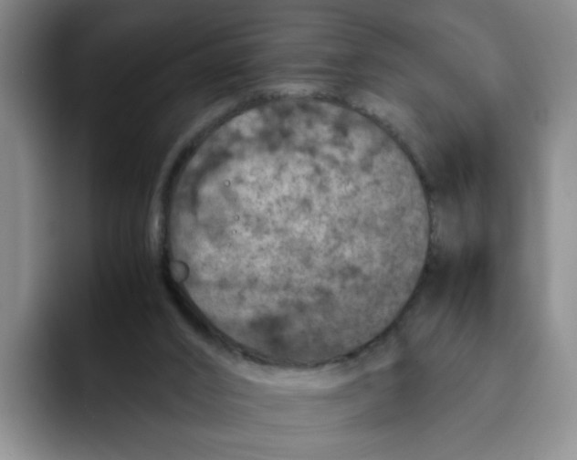 X0000091650016200709201134