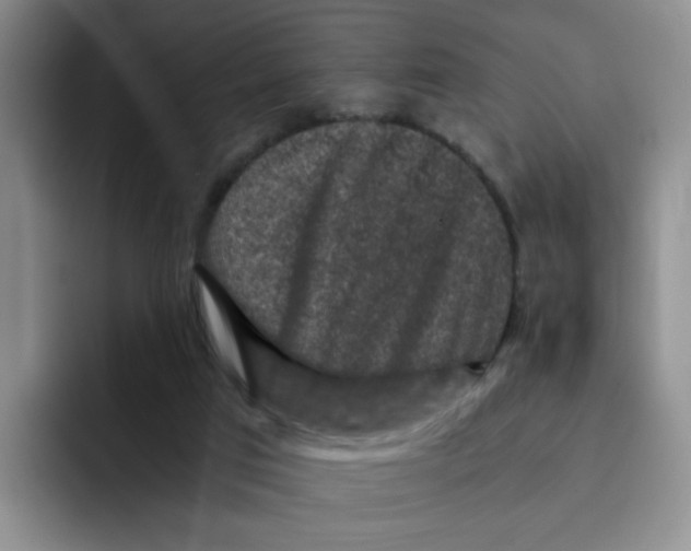 X0000091650017200709201134