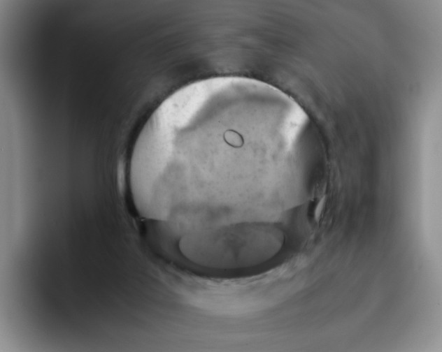 X0000091650019200709201134