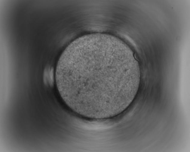 X0000091650020200709201134