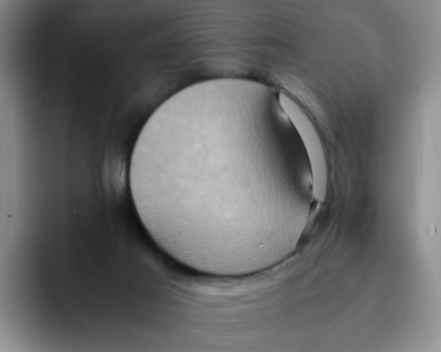 X0000091650021200709201134