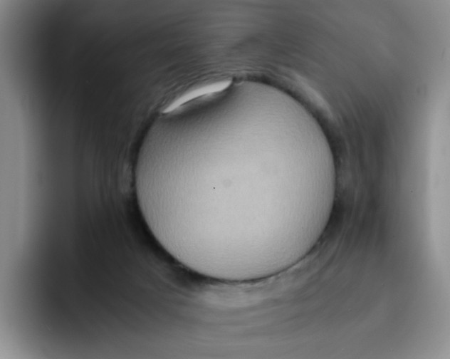 X0000091650025200709201134