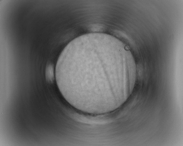 X0000091650028200709201134