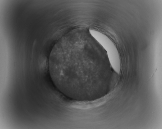 X0000091650029200709201134