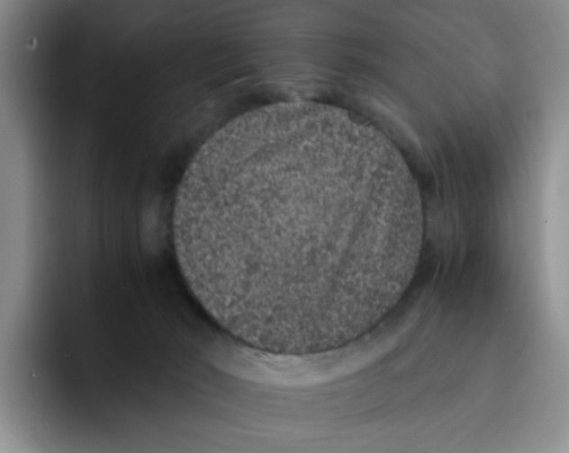 X0000091650030200709201134