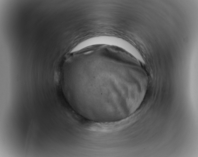 X0000091650033200709201134