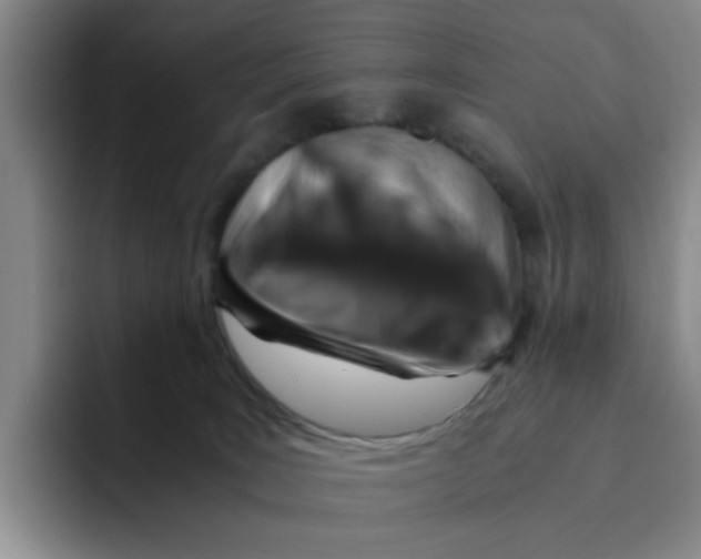 X0000091650035200709201134