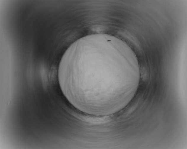 X0000091650036200709201134