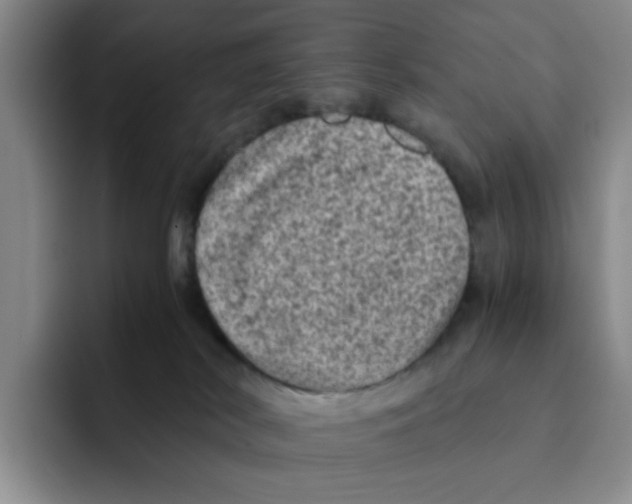 X0000091650038200709201134