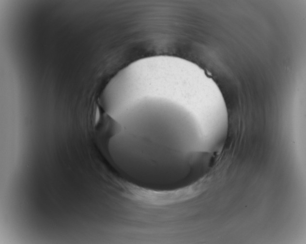 X0000091650039200709201134