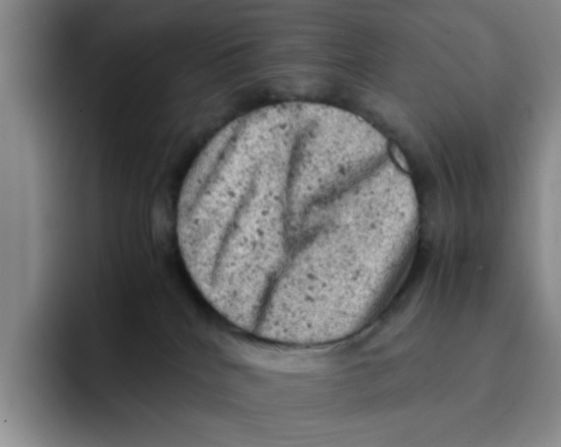 X0000091650040200709201134