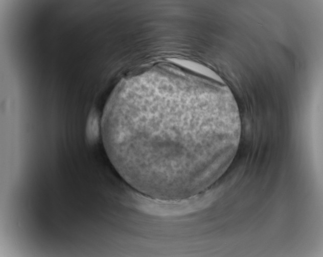 X0000091650042200709201134