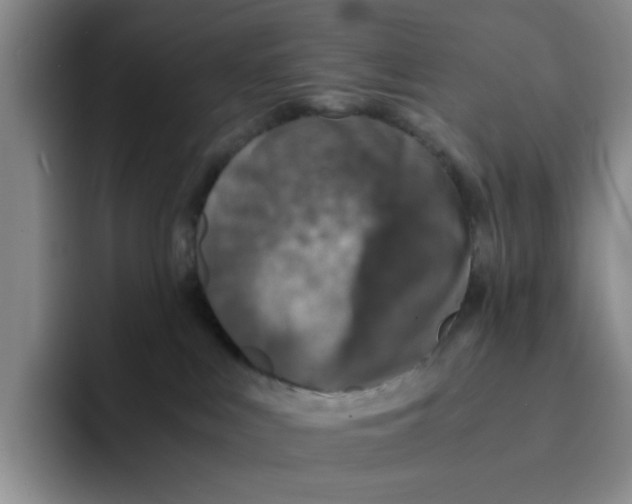 X0000091650043200709201134