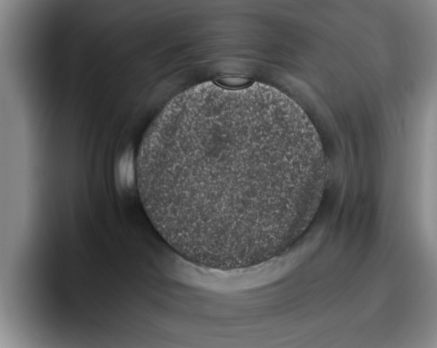 X0000091650046200709201134