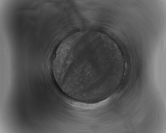 X0000091650048200709201134