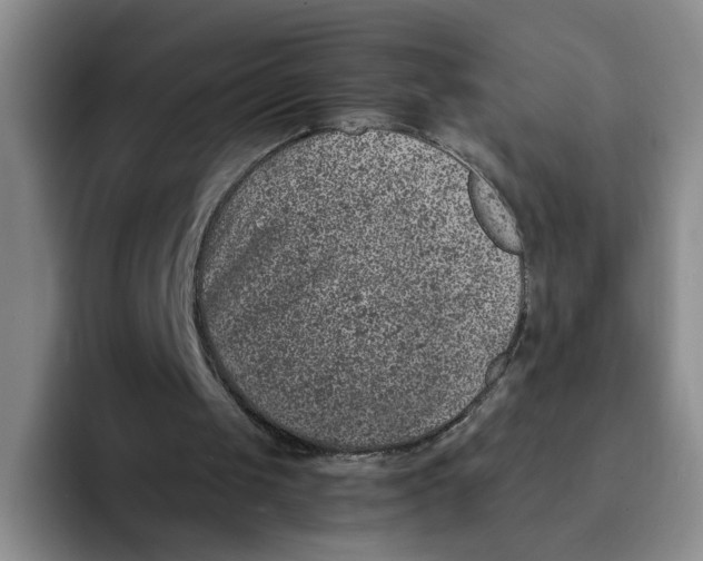 X0000091650049200709201133