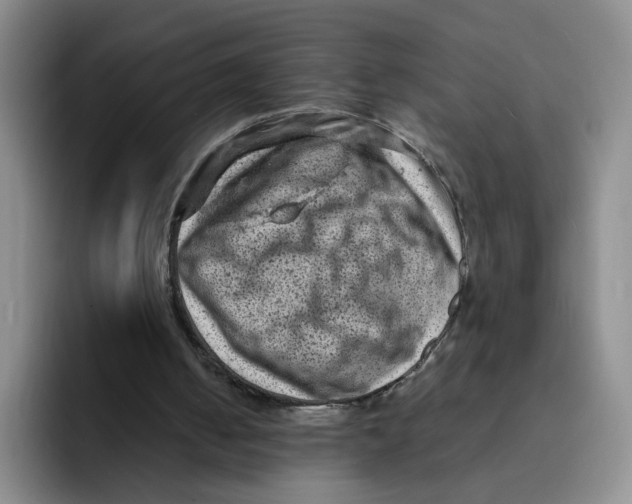 X0000091650050200709201133